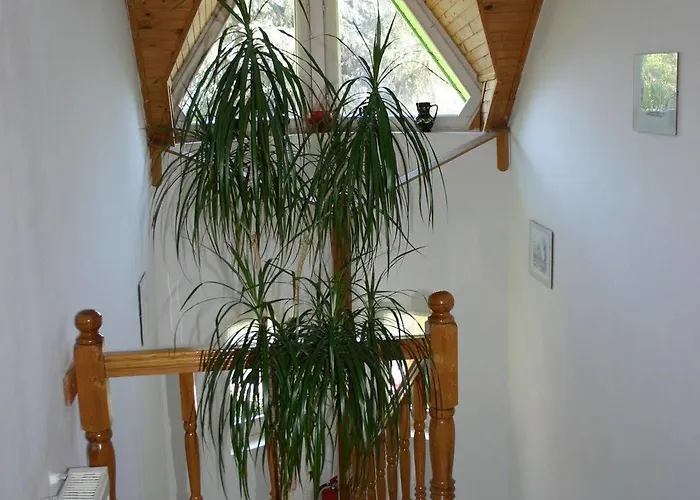 Lorelei Adults Only 4* Gyenesdiás